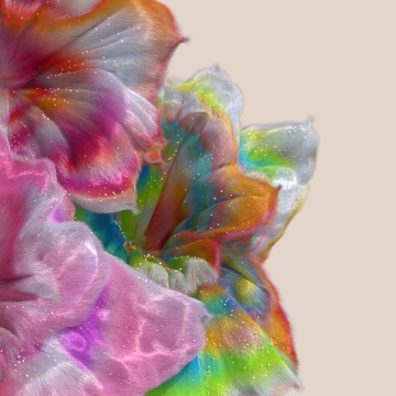 Pride 2025, Microsoft Design, LGBTQ