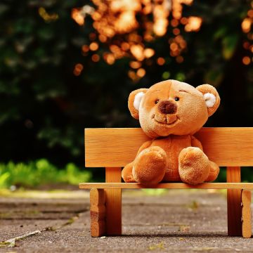 Teddy bear, Park bench, Soft toy, Wooden bench, Evening, Cute toy, 5K