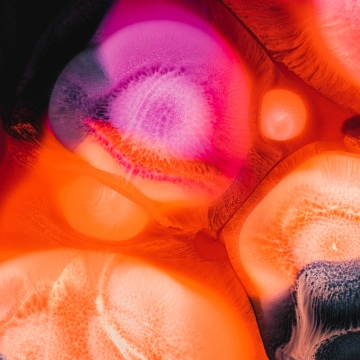 Vibrant, Fluid art, Liquid art, 5K, 8K