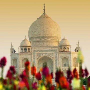 Taj Mahal, Agra, India, UNESCO World Heritage Site, Wonders of the World, 5K