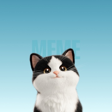 Cute Cat, Cartoon, Meme, Blue background, Blue gradient, 5K