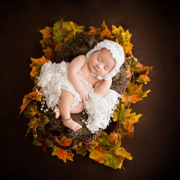 Newborn, White Dress, Fur, Autumn leaves, Brown, Dark background, Cute Baby, Basket, 5K, Brown aesthetic