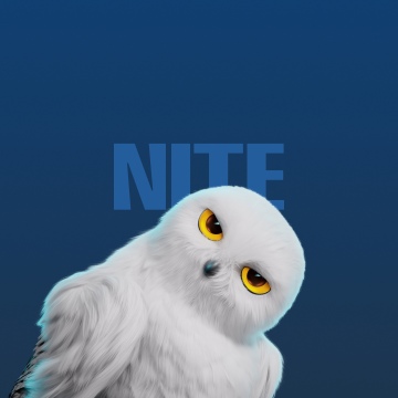 White Owl, Cute cartoon, 5K, Honor Magic V Flip 2, Stock, Blue background