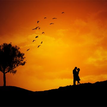 Couple, Landscape, Silhouette, Orange sky, Tree, Birds, Sunset, Romantic