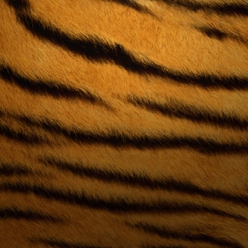 Tiger skin, Texture, OS X Tiger, Mac OS X, Stock, 5K