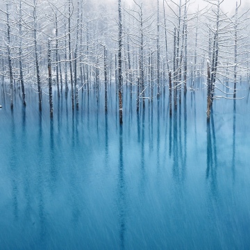 OS X Mountain Lion, Winter, Frozen trees, Reflection, Blue aesthetic, Snow covered, Stock, Mac OS X