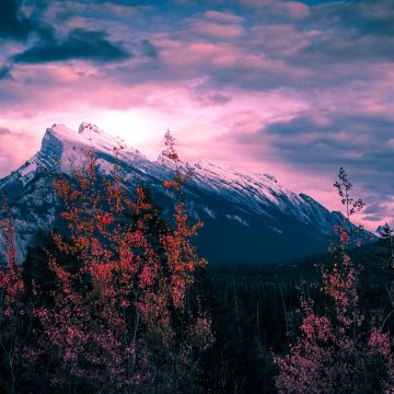 Mount Rundle, Canada, Golden hour, Clouds, Purple sky, Trees, Sunset, Mountain Peak, 5K