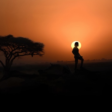 Varanasi (2027), Globetrotter, 5K, 2027 Movies, Sunset, Silhouette, Indian movies