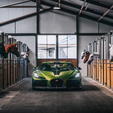 Bugatti Brouillard inspired by Ettore Bugatti's horse