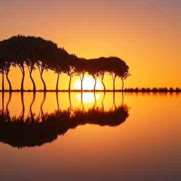 Guitar Island, Sunset, Reflections, Landscape, 5K, Orange sky, Surreal landscape, Silhouette