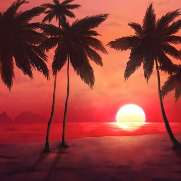 Sunset, Tropical, Trees, Silhouette, Dawn, Warm