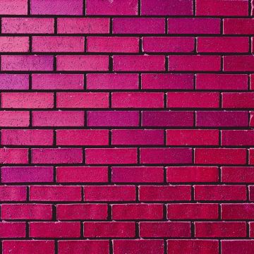 Brick wall, Magenta, Red, Bricks, Bright, 5K