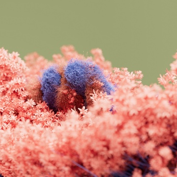 Floral, Pink moss, Soft focus, Green background, 5K, Bloom, Macro, Botanical, Microsoft Design