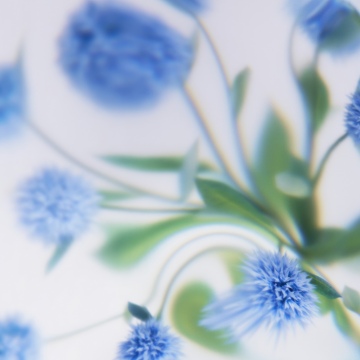 Blue flowers, Soft focus, White background, Minimalist, Floral Background, Microsoft Design