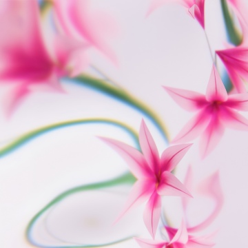 Pink flowers, Dreams, Floral designs, White background, Soft focus, Microsoft Design