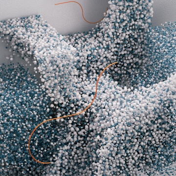 Particles, Cloud, Cluster, Sphere Balls, 3D Render, Dusty blue, 5K, Microsoft Design