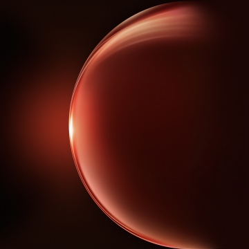 Honor Magic V6 stock wallpaper