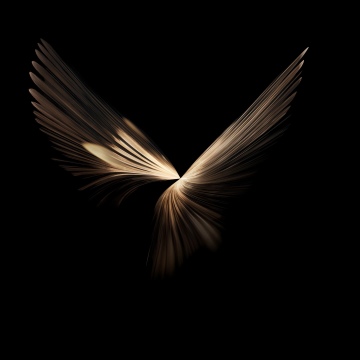 Honor Magic V6 stock wallpaper