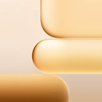 Honor 600 Lite stock wallpaper