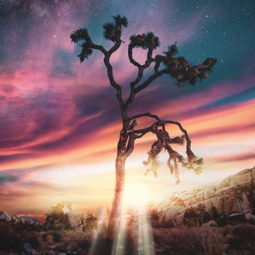 Lonely iPhone wallpaper