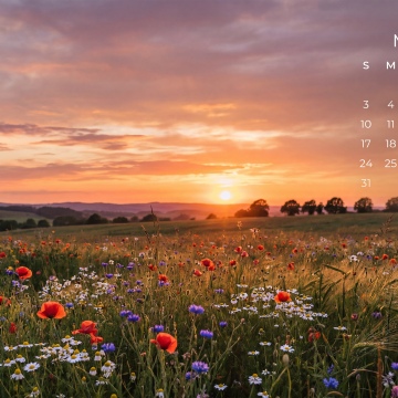 May 2026 Calendar, Poppy Field