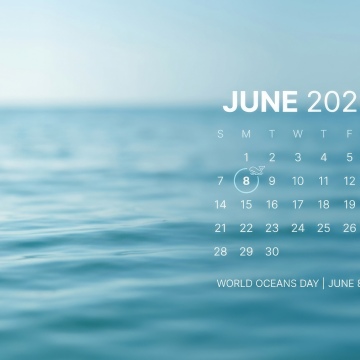 World Ocean Day June 2026 Calendar