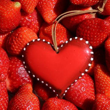 Red heart, Strawberries, Fruits, Fresh, Red background, 5K