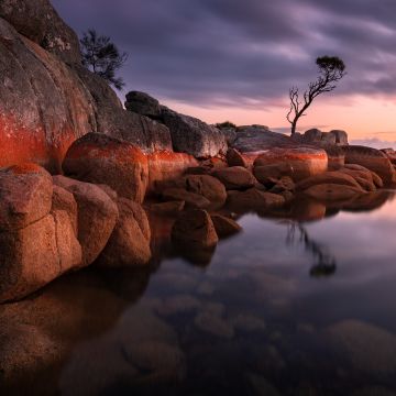 Binalong Bay, Tasmania, Australia, Sunrise, Landscape, Rocks, Body of Water, 5K, 8K