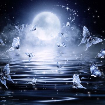 Butterflies, Stars, Moon, Night, Water, Dark background, Illustration, Fairy tale