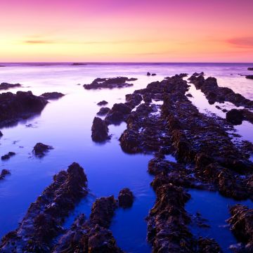 Fitzgerald marine reserve, Sunset, California, USA, Moss Beach, Rocks, , Purple sky, Landscape, Seascape, Body of Water, Ocean, Horizon, Clear sky, 5K