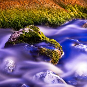 Green Moss, Water Stream, Long exposure, Rock, Purple, 5K