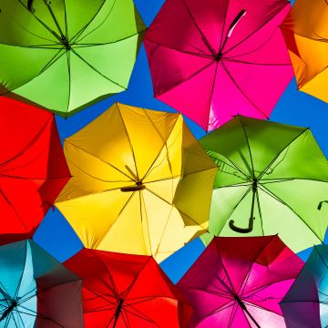 Umbrellas, Street festival, Colorful, Looking up at Sky, Rainbow colors, 5K