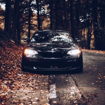 BMW, Black cars, Cinematic, Autumn, Foliage, Road, Tarmac