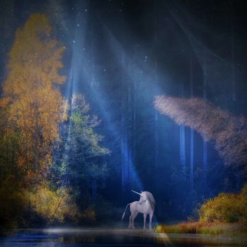 Unicorn, Fairy tale, Mythical, Light beam, Forest, Woods, Tall Trees, Scenery, Water