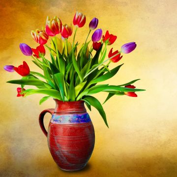 Flower vase, Tulip flowers, Multicolor, Colorful, Green leaves, Bouquet, Decoration