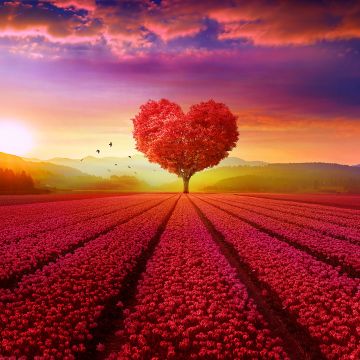 Heart tree, Flower garden, Red flowers, Landscape, Scenery, Beautiful, Birds, Sunrise, Clouds, Mountains, Aesthetic