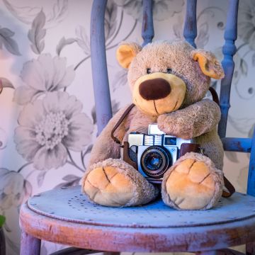 Teddy bear, Vintage Camera, Pink flowers, Orchid flowers, Cute toy, Wooden Chair, Green leaves, Toys, 5K