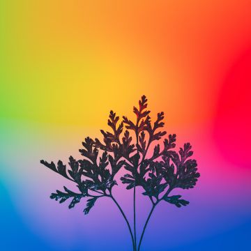 Herbal plant, Gradient background, RGB Light, Colorful, Multicolor, Silhouette, Vibrant, Aesthetic, 5K