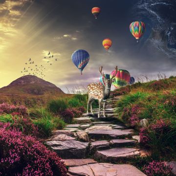 Deer, Hot air balloons, Sunrise, Landscape, Stone staircase, Spring, Girly