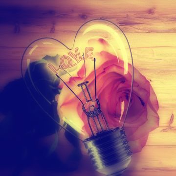 Light bulb, Heart shape, Rose flower, Wooden background, Valentine's Day, Love text, Creative, 5K, 8K