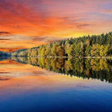 Forest, Afterglow, Trees, Sunset, Orange sky, Mirror Lake, Body of Water, Reflection, Landscape, Scenery, 5K