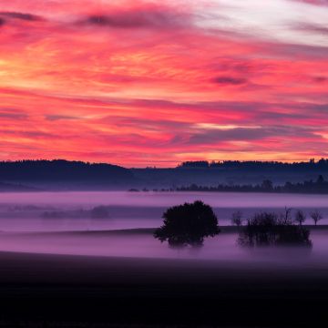 Orange sky, Sunset, Landscape, Foggy, Scenery, Clouds, Trees, Silhouette, Dawn, 5K