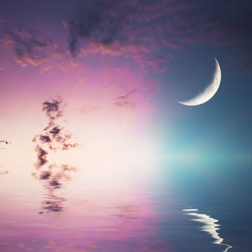 Crescent Moon, Flying birds, Body of Water, Reflection, Clouds, Sea, 5K, 8K