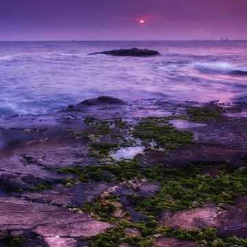 Seascape, Coast, Sunset, Ocean, Evening sky, Purple, Moss, Landscape