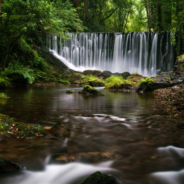 Mazo De Meredo, Waterfalls, Spain, Long exposure, Water Stream, Forest Trees, Greenery, Landscape, Moss