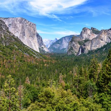 Yosemite National Park, Mountains, California, Blue Sky, Valley, Landscape, Green Trees, Scenery