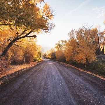 Dirt road, Autumn trees, Landscape, Countryside, Sunny day, Fallen Leaves