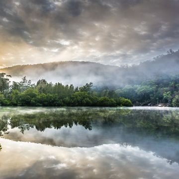 Berowra Creek, Australia, Cloudy Sky, Sunrise, Watercourse, Green Trees, Forest, Misty, Reflection, Landscape, Mirror Lake, 5K