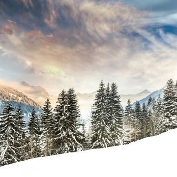Mount Eggli, Swiss Alps, Mountain range, Snow covered, Winter, Snowy Trees, Alpine trees, Foggy, Cloudy Sky, Landscape, Scenery
