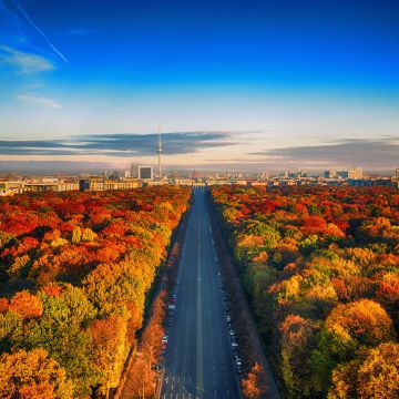 Autumn trees, Berlin City Skyline, Germany, Highway, Colorful, Blue Sky, Cityscape, Berlin TV Tower, Landscape, Beautiful, 5K